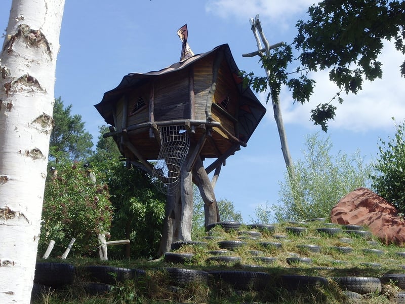 Treehouse in the forest